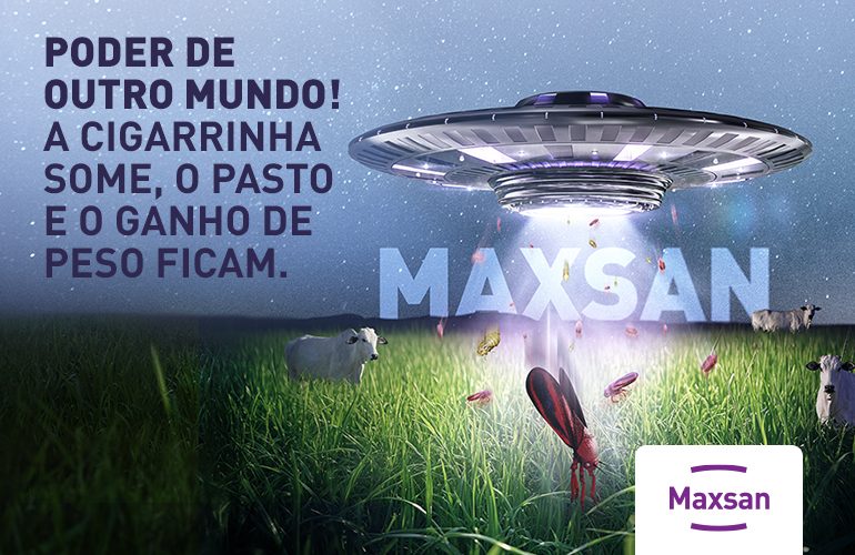 Maxsan Pastagem