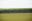 Brasil se consolida na produção de florestas plantadas e reforça a importância do manejo integrado no campo