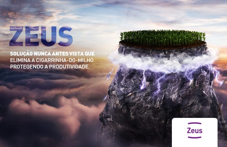 ZEUS para Milho