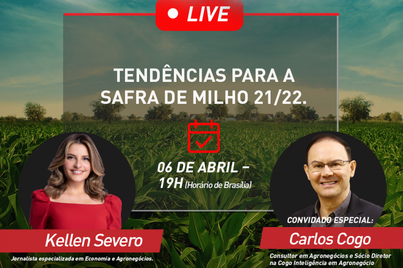 Live com especialistas renomados do mercado abordará as tendências para Safra de Milho 21/22