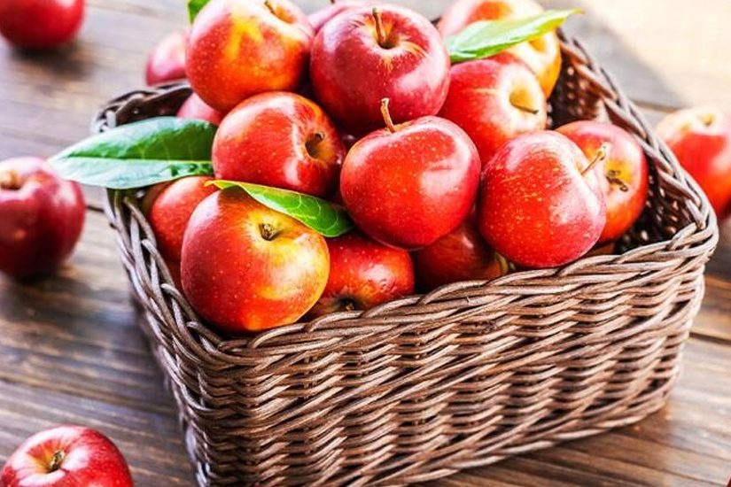 Saiba o que são e como funcionam os reguladores de crescimento da maçã