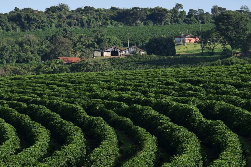 Dia Mundial da Agricultura: IHARA alia tecnologia e inovação para aumento da produtividade no campo