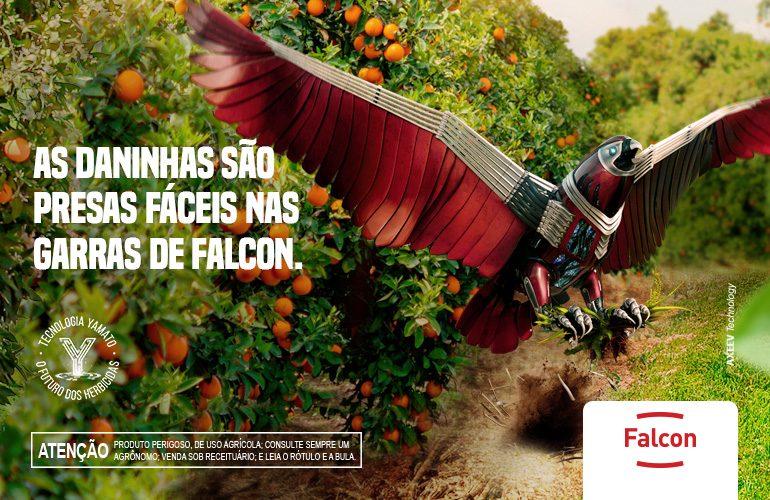 FALCON para Citros