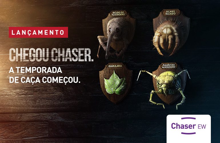 O Inseticida chaser extermina pragas e doenças do algodão.