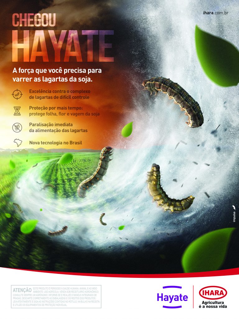 Banner Hayate