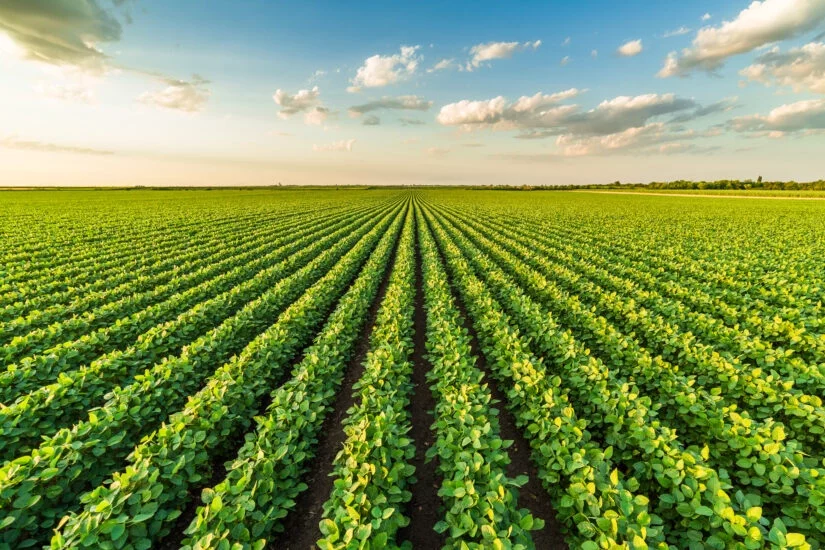 IHARA propõe jornada de soluções inovadoras ao agricultor durante a Show Rural Coopavel