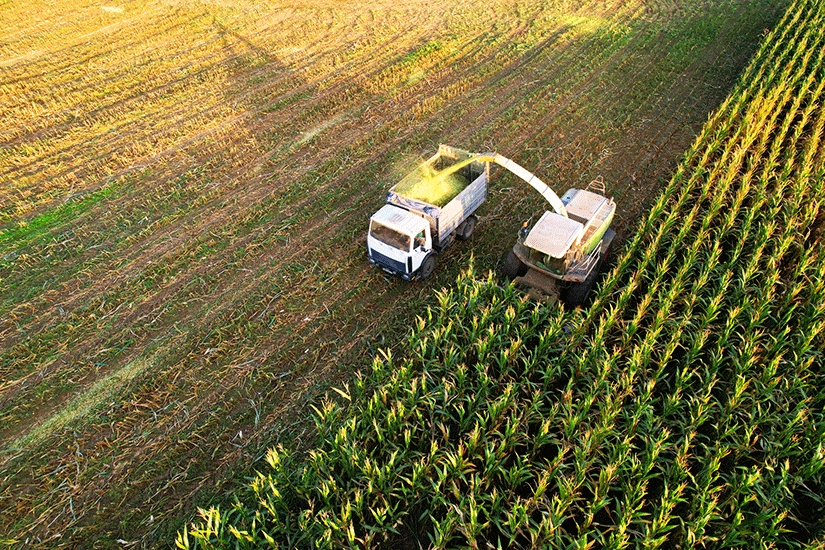 IHARA Defensivos Agrícolas no LinkedIn: #ihara #kyojin #soja #milho # herbicida #agronegócio #agricultura #campo