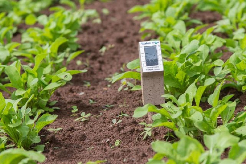 Torne sua lavoura mais inteligente utilizando sensores no campo