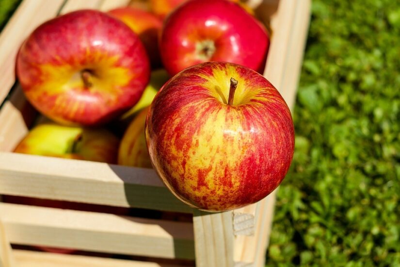 Por que e quando utilizar os reguladores de crescimento na cultura da maçã