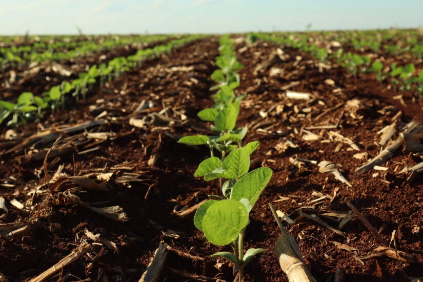 NOVO herbicida pré-emergente para SOJA e MILHO