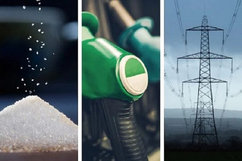 Açúcar, etanol e energia: confira as apostas para os produtores em 2023