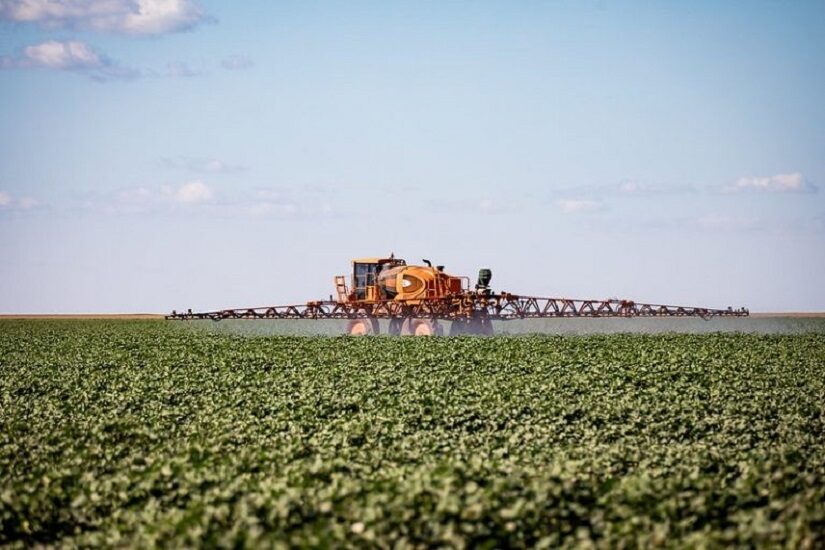 Herbicida Xeque Mate - IHARA Defensivos Agrícolas