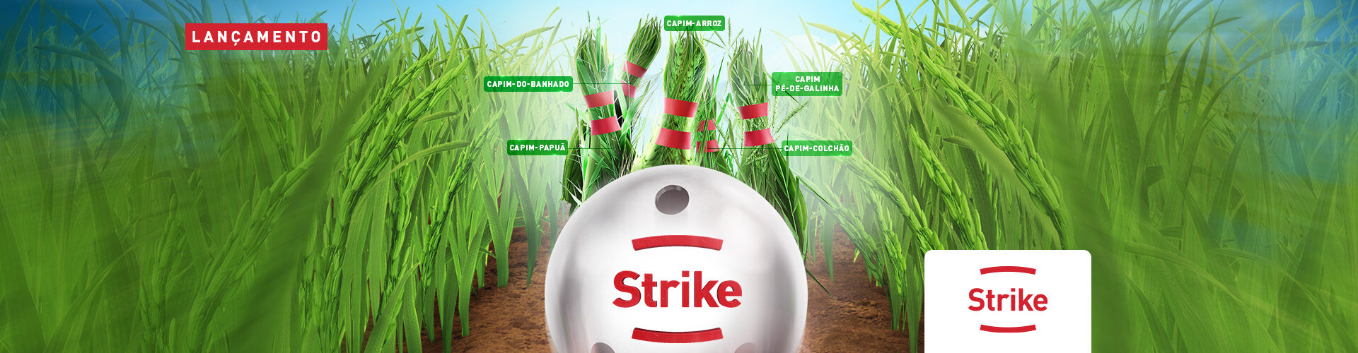 STRIKE, novo herbicida pós-emergente da IHARA altamente seletivo ao arroz.