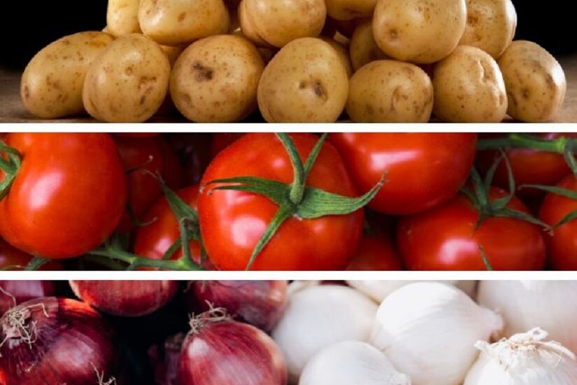 Doenças fúngicas são inimigas da batata, tomate e cebola; saiba como protegê-los
