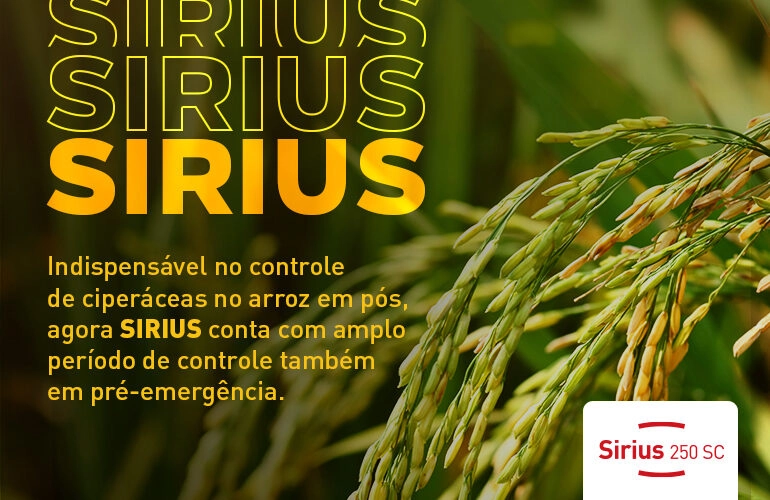 Sirius 250 SC