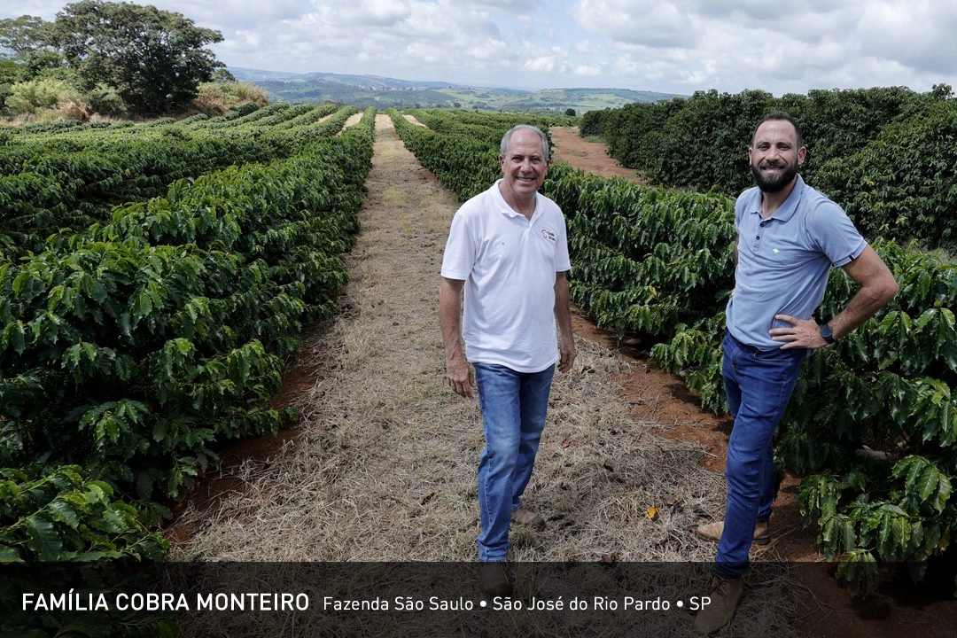 Família Cobra Monteiro