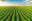 IHARA estará presente na AgroBrasília com novas tecnologias para as culturas da soja e milho