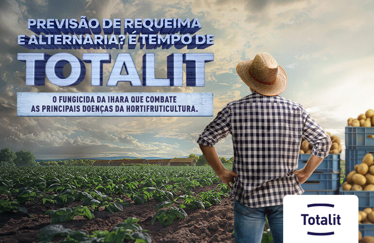 TOTALIT para Batata