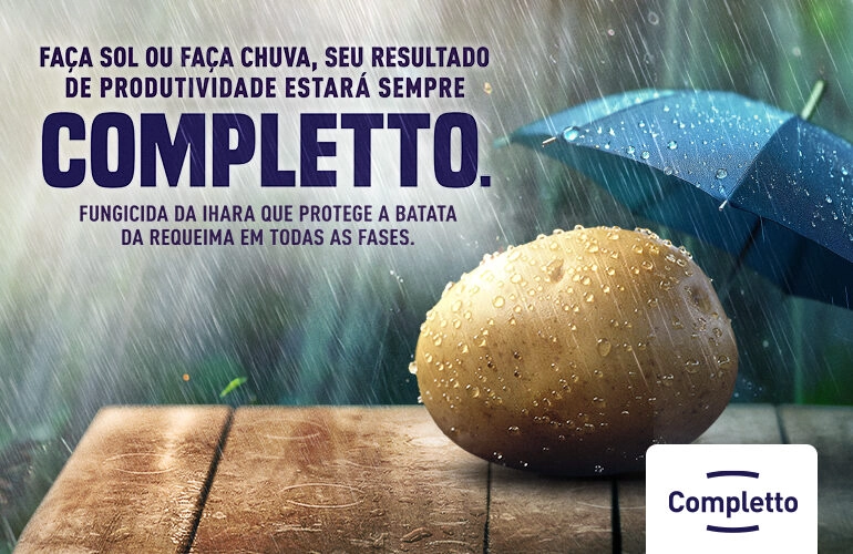 COMPLETTO Batata