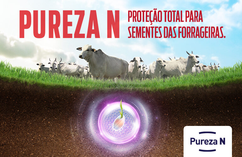 PUREZA N