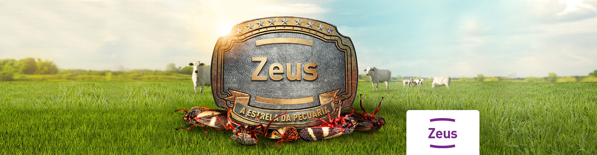 ZEUS Pastagem