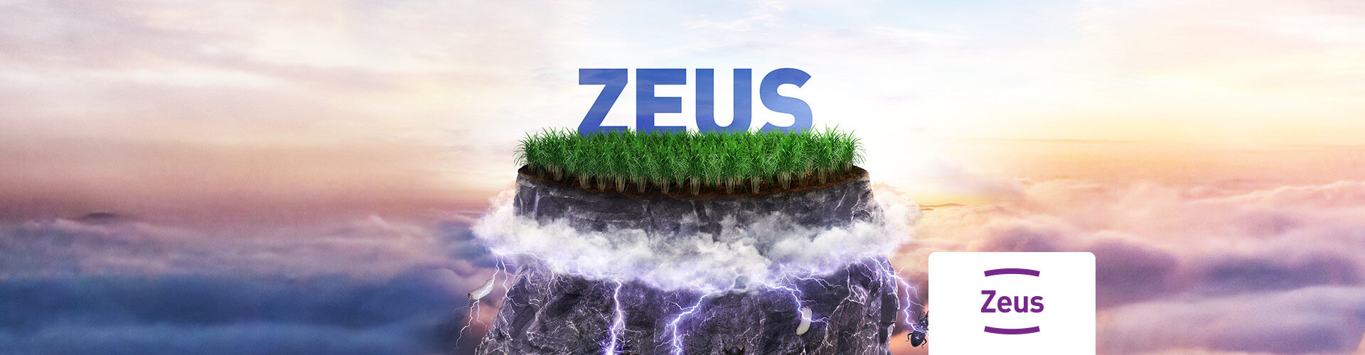 ZEUS para Cana