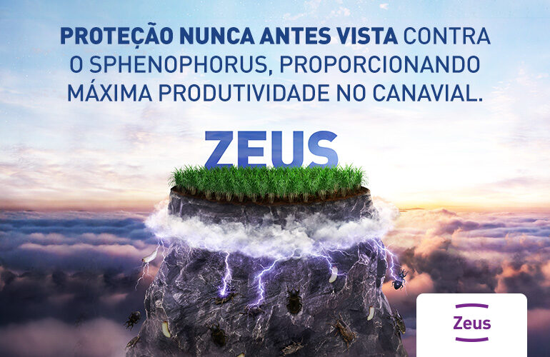 ZEUS para Cana